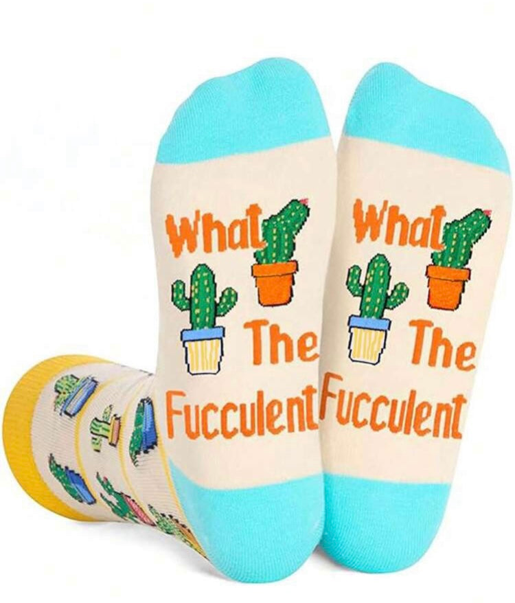What The Succulent